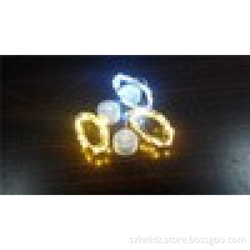 2m Silver Wire 20 LED Seed Lights String